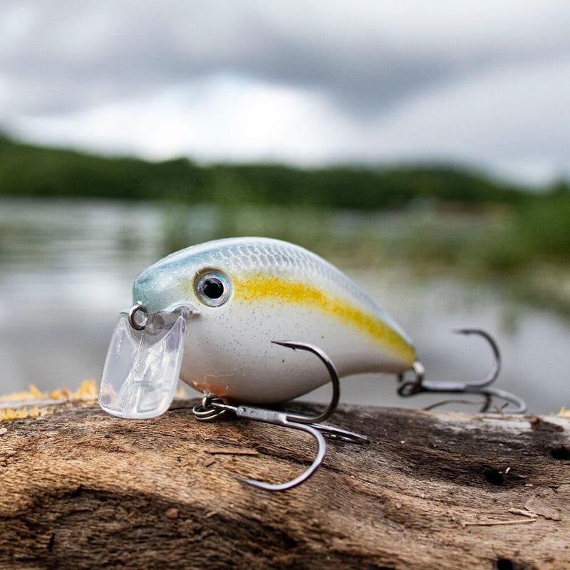 Strike King (HCKVD2.5W-590) KVD 2.5 Wake Bait Fishing Lure, 590 - Sexy Shad, 3/8 oz, Unique Clacking Sound - Image 2